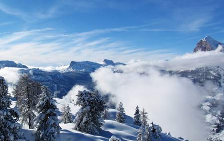 Mountain Instructor awards
